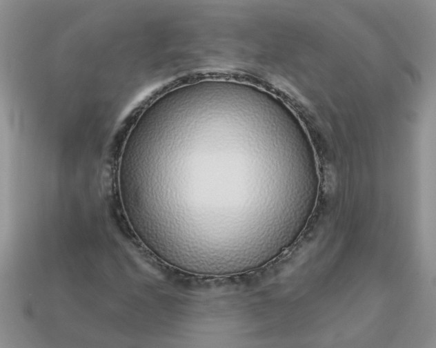 X0000113021208200909101831