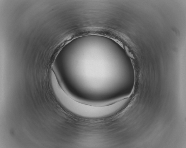 X0000113021209200909101831