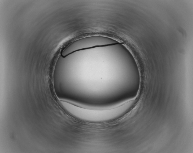 X0000113021210200909101831