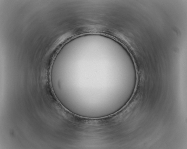 X0000113021211200909101831