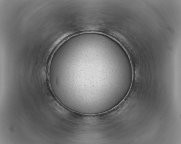 X0000113021212200909101831