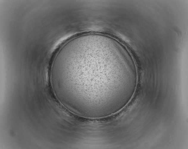 X0000113021214200909101831