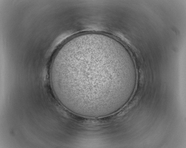 X0000113021215200909101831