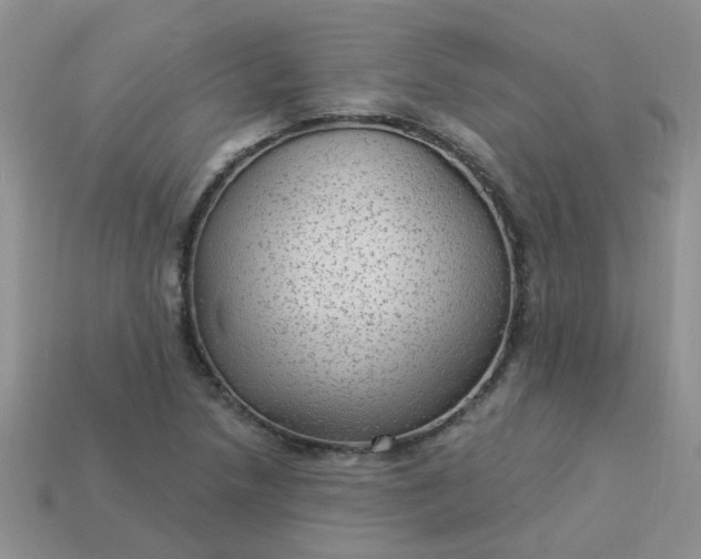 X0000113021218200909101831