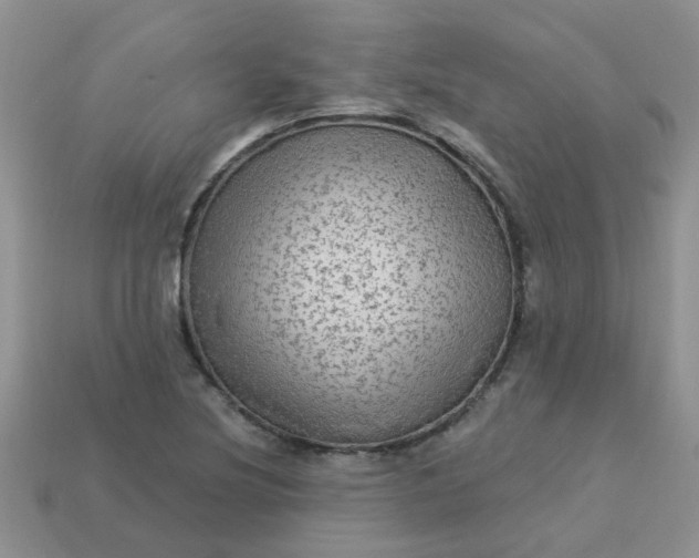 X0000113021220200909101831