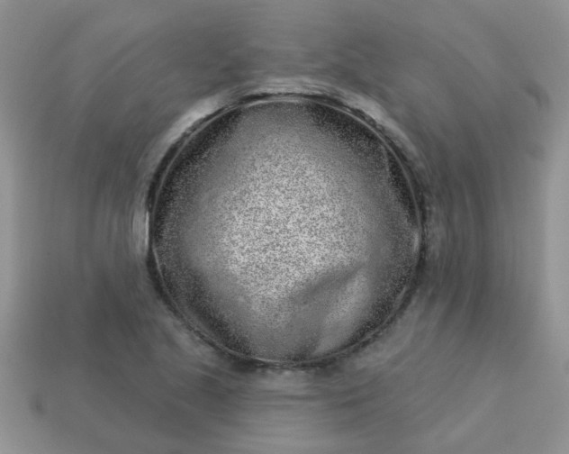X0000113021221200909101831