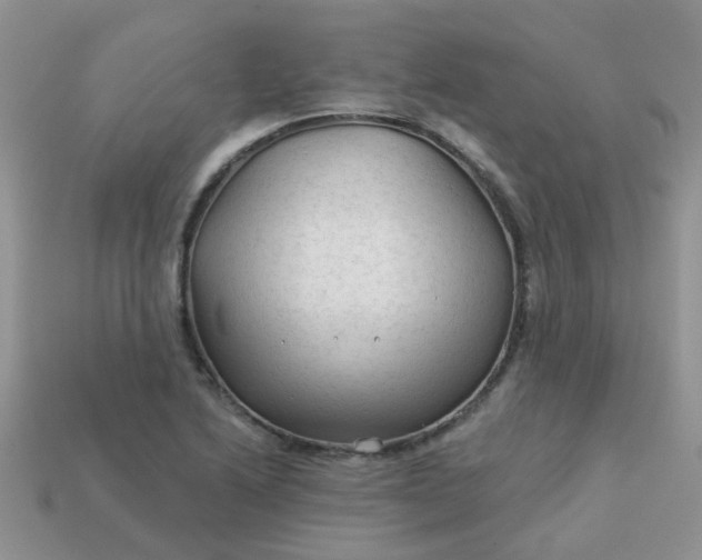 X0000113021222200909101831