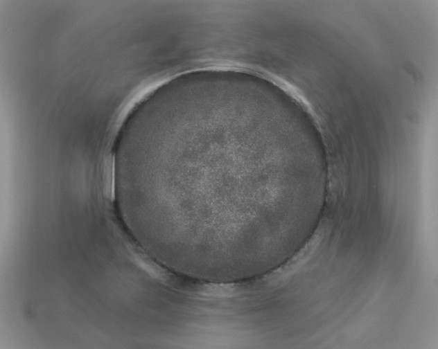 X0000113021223200909101831