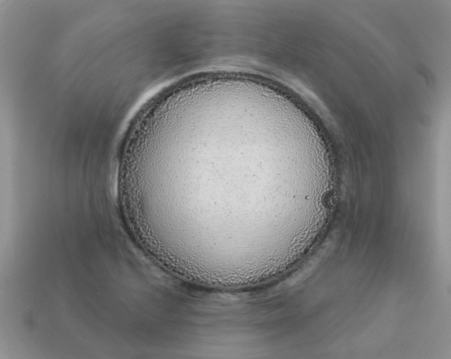 X0000113021224200909101831
