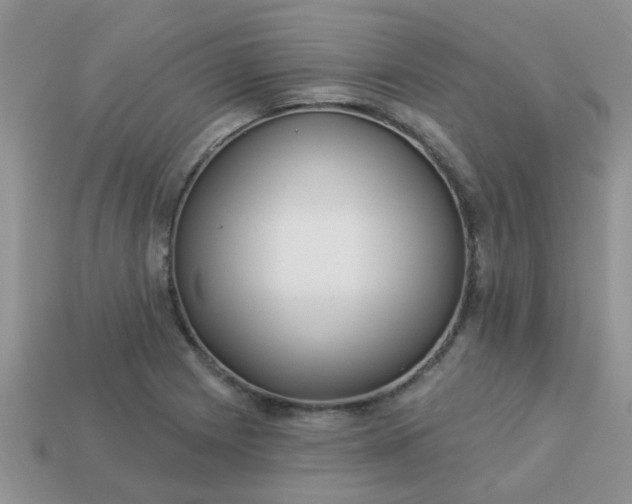 X0000113021225200909101831