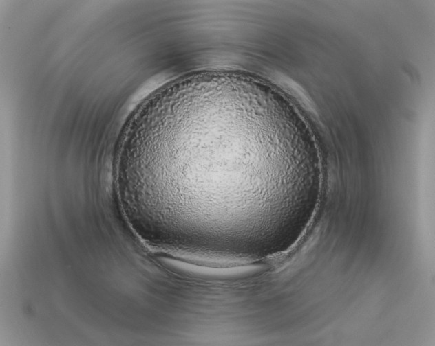 X0000113021226200909101831