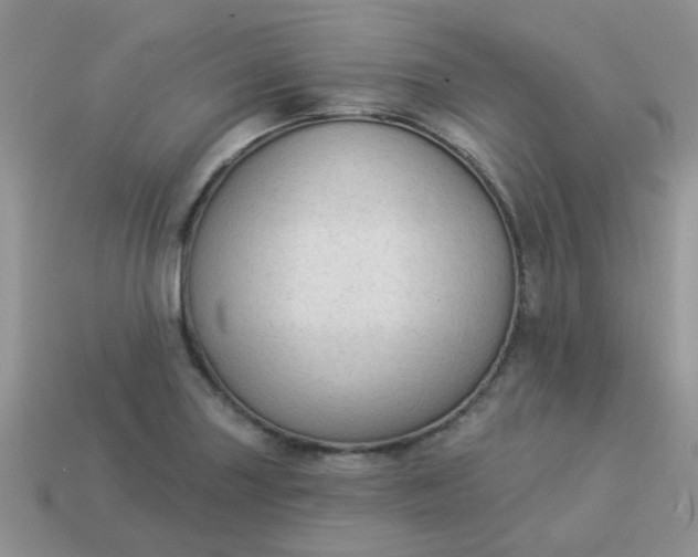X0000113021227200909101831