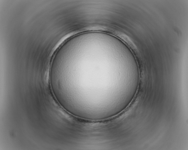 X0000113021228200909101831