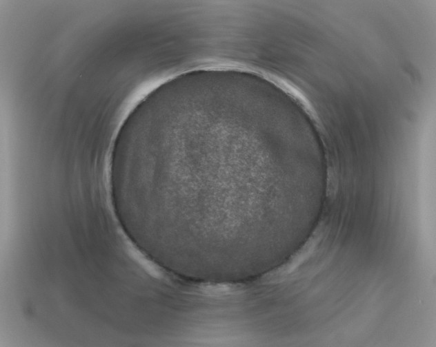 X0000113021231200909101831