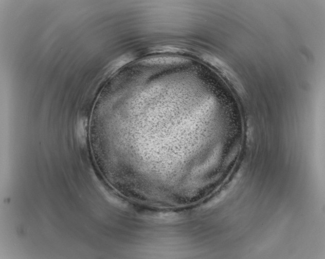 X0000113021233200909101831