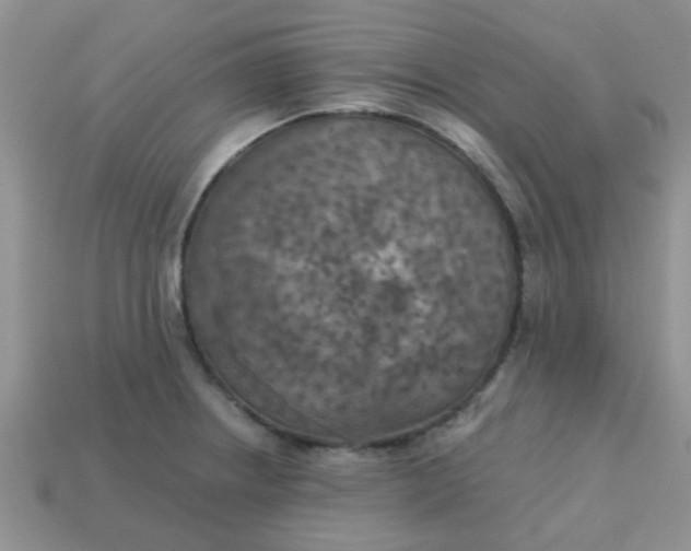 X0000113021234200909101831
