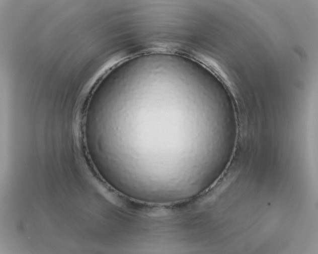 X0000113021235200909101831