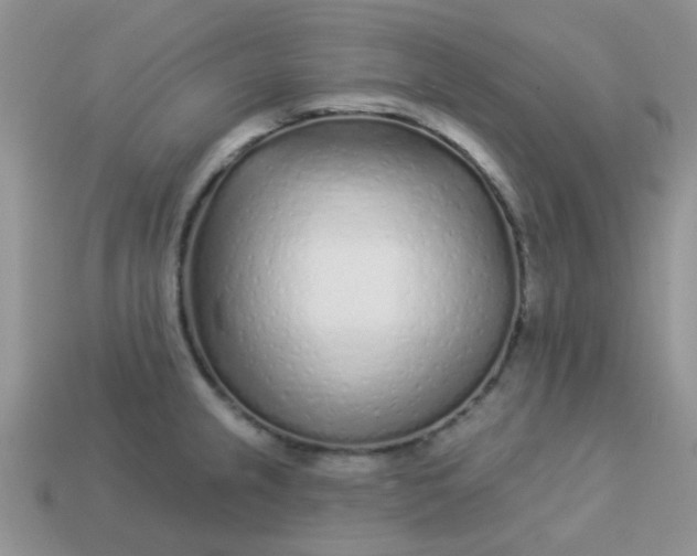 X0000113021237200909101831