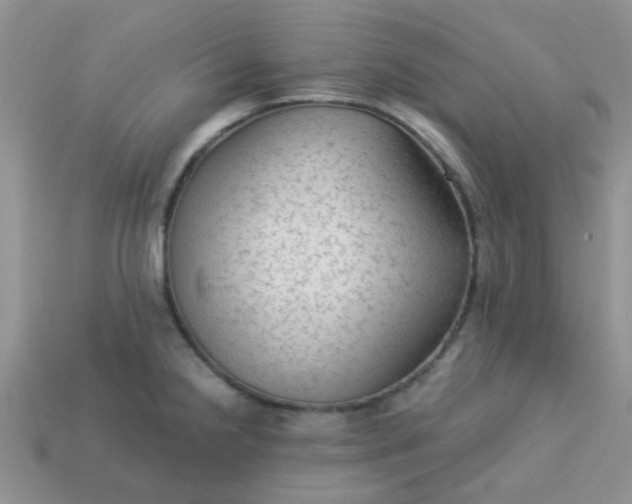 X0000113021238200909101831