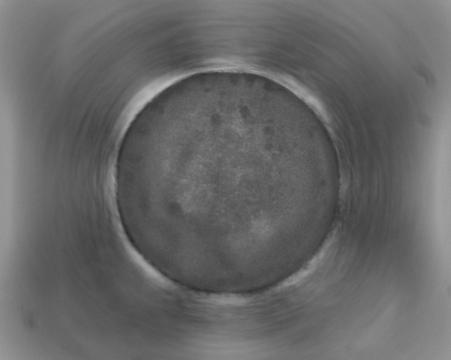 X0000113021239200909101831