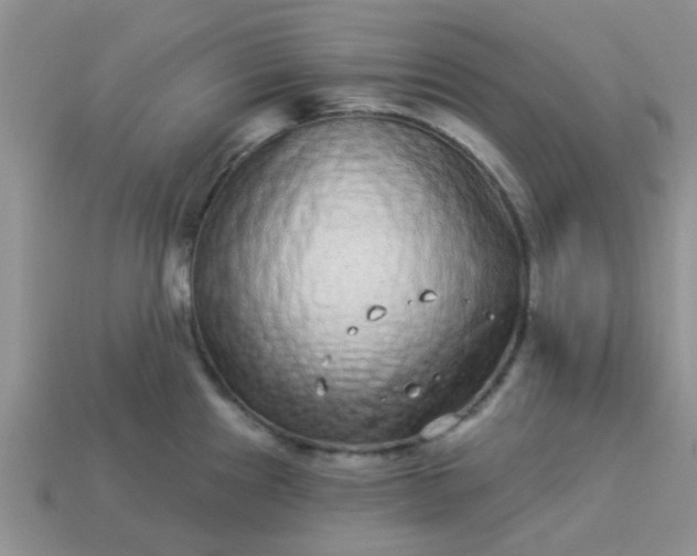 X0000113021241200909101831