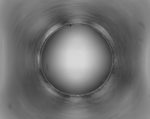 X0000113021242200909101831