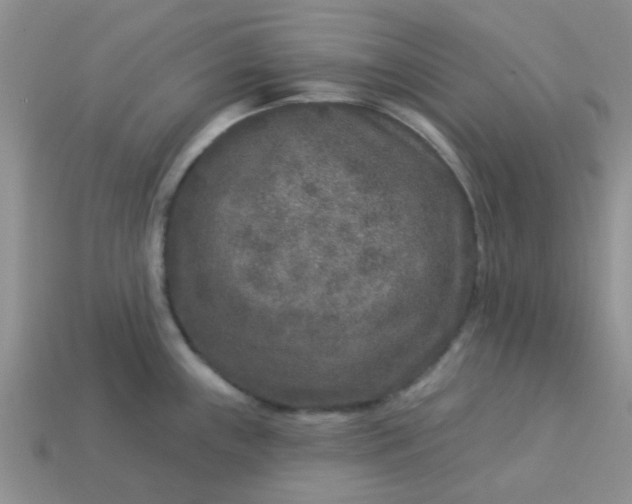 X0000113021243200909101831