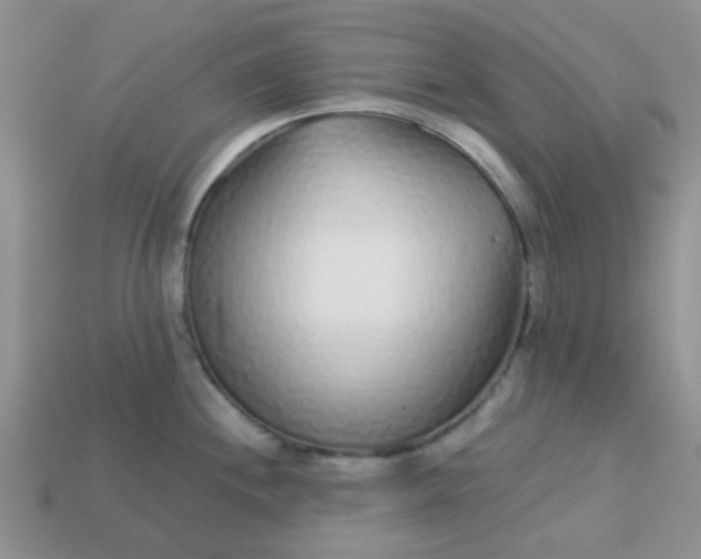 X0000113021244200909101831