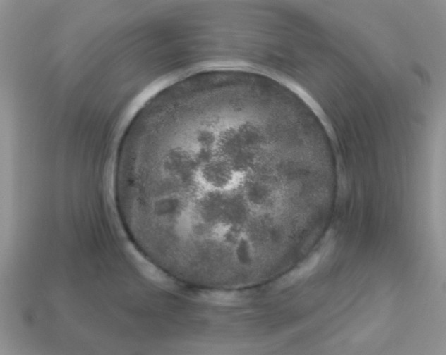 X0000113021245200909101831