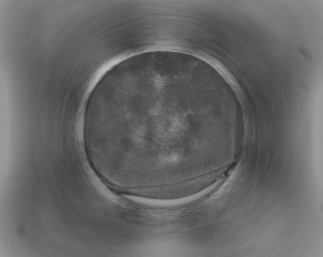 X0000113021246200909101831