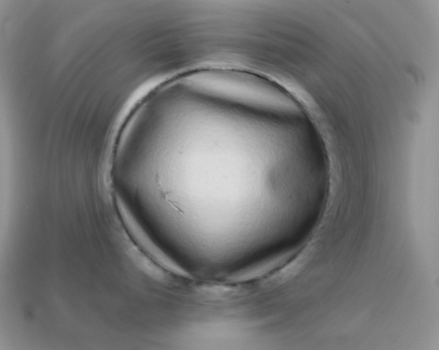 X0000113021248200909101831