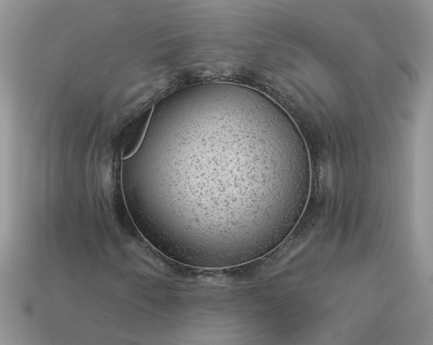 X0000113021250200909101831
