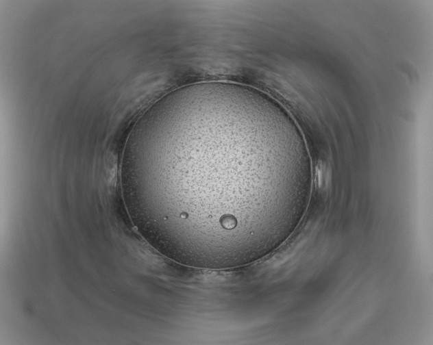 X0000113021251200909101831