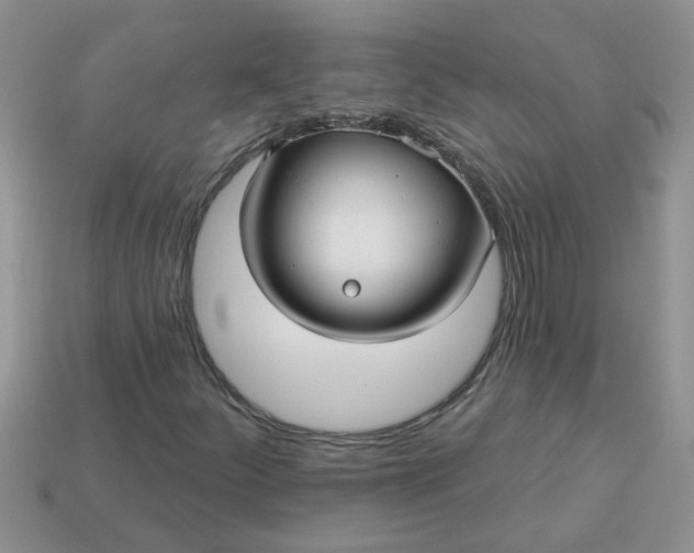 X0000113021252200909101831