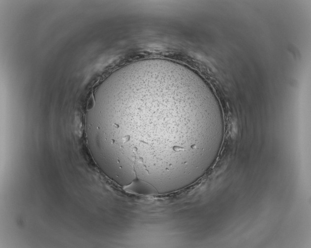 X0000113021253200909101831