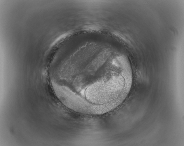 X0000113021254200909101831