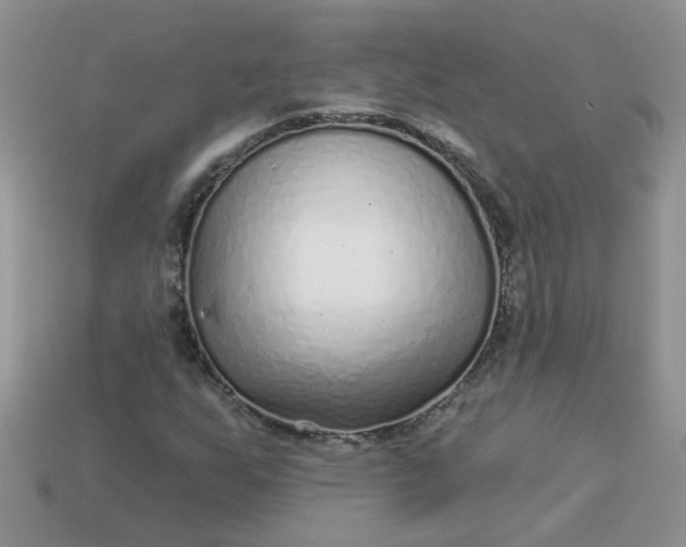 X0000113021255200909101831