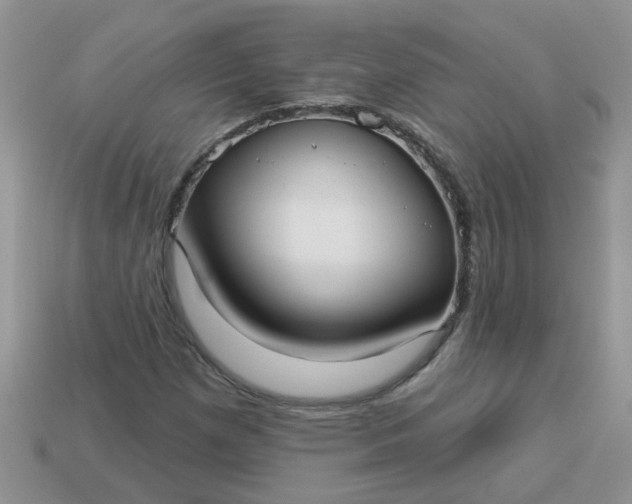 X0000113021257200909101831