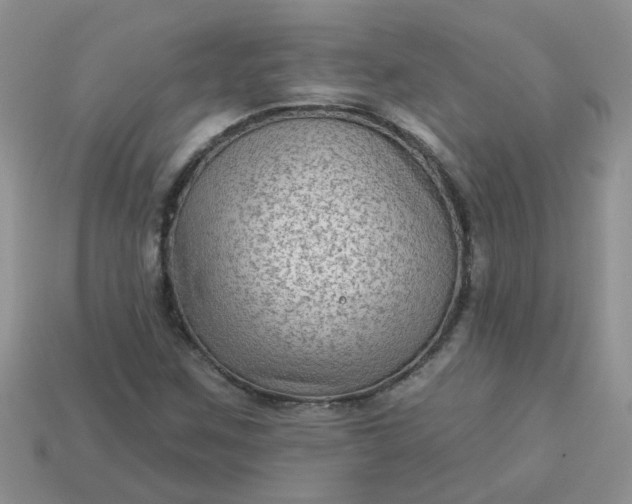 X0000113021259200909101830