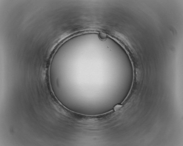 X0000113021260200909101830