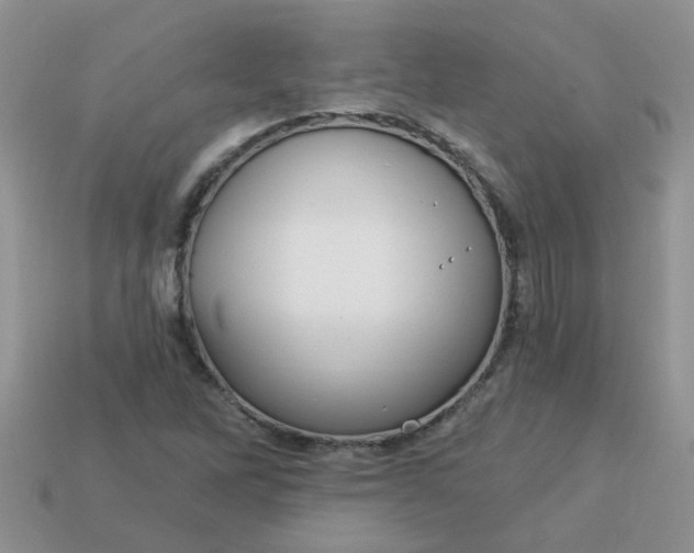 X0000113021262200909101830