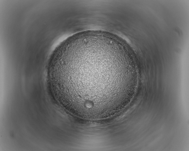 X0000113021263200909101830