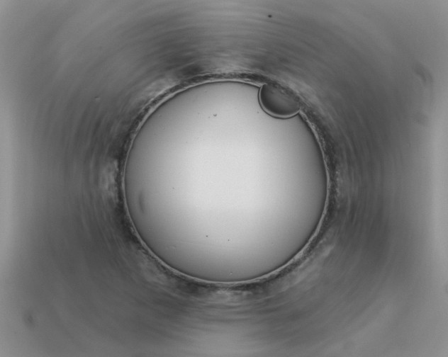 X0000113021265200909101830