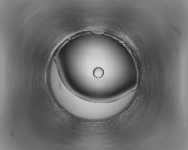 X0000113021268200909101830