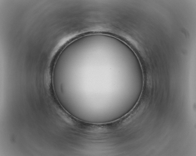 X0000113021270200909101830