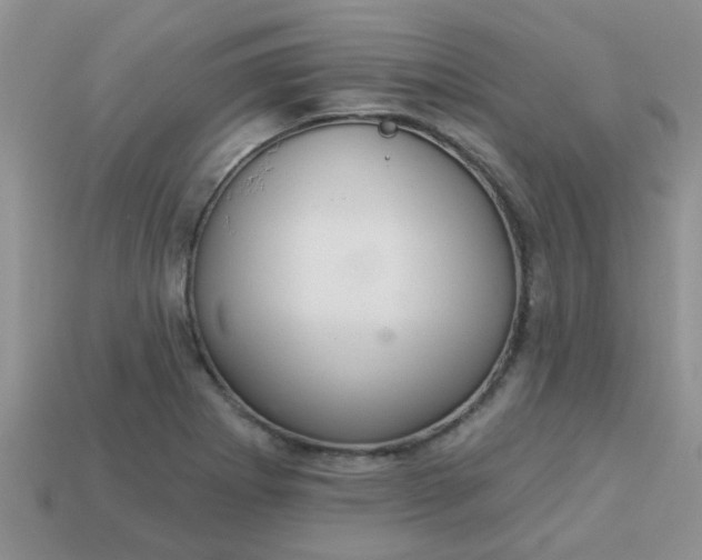 X0000113021273200909101830