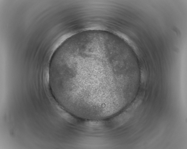 X0000113021274200909101830