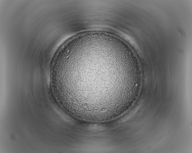 X0000113021275200909101830