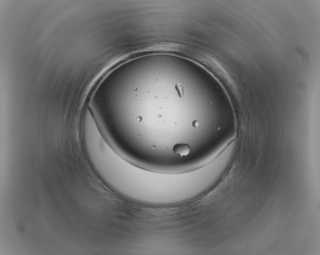 X0000113021276200909101830