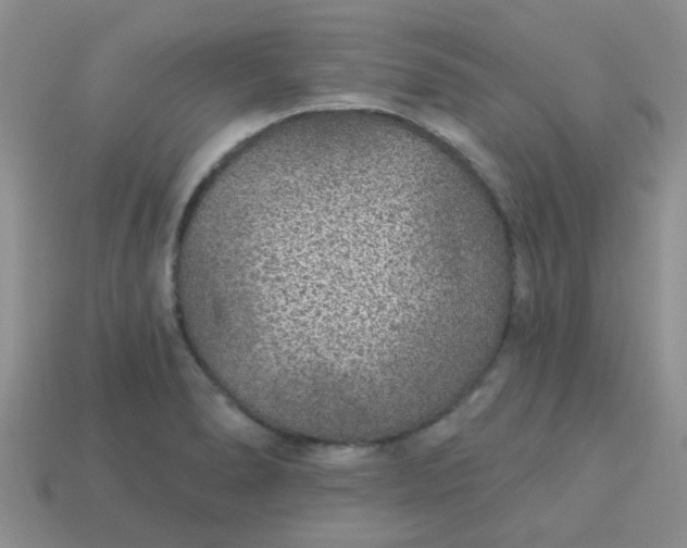 X0000113021278200909101830